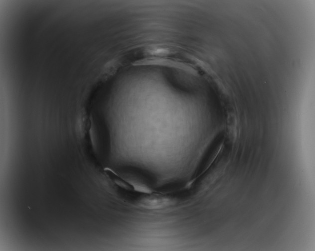 X0000089740712200707121507