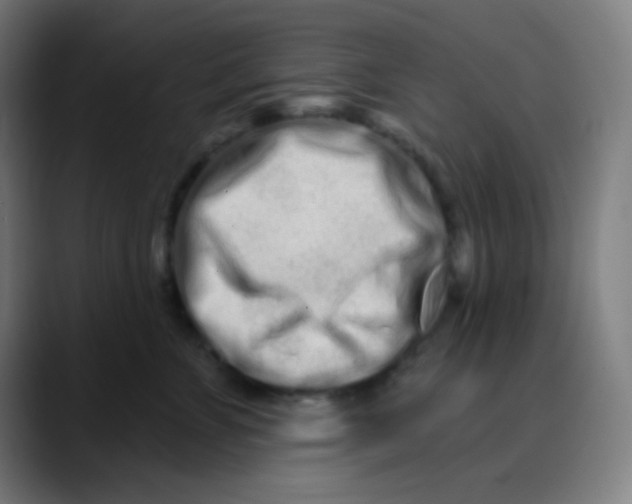 X0000089740715200707121507