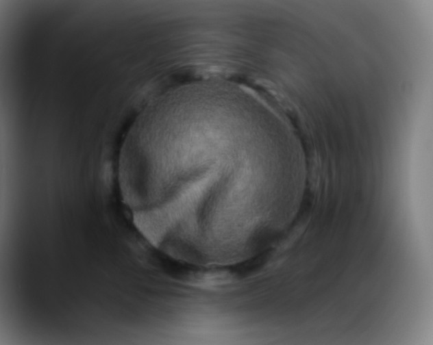 X0000089740716200707121507