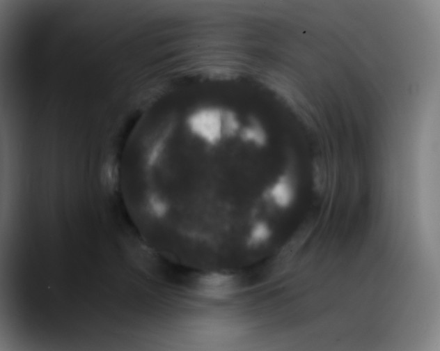 X0000089740718200707121507