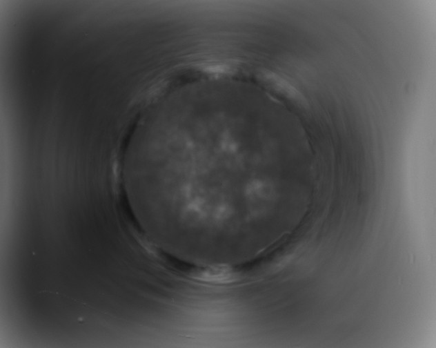 X0000089740720200707121507