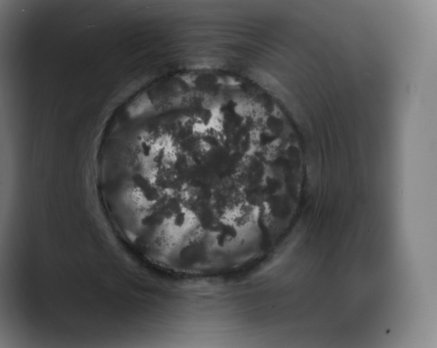 X0000089740721200707121507