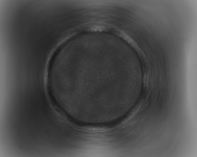 X0000089740722200707121507