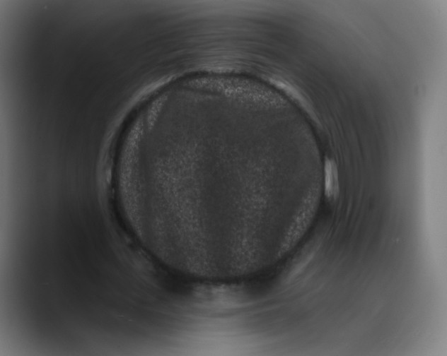 X0000089740723200707121507