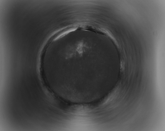 X0000089740724200707121507