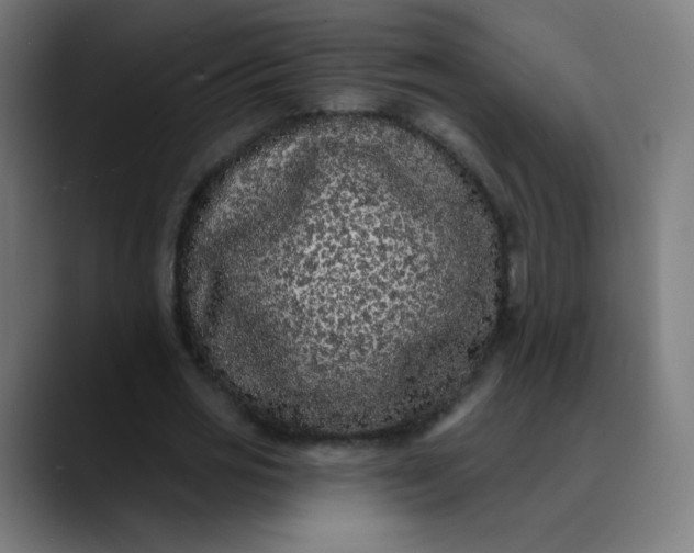 X0000089740725200707121507