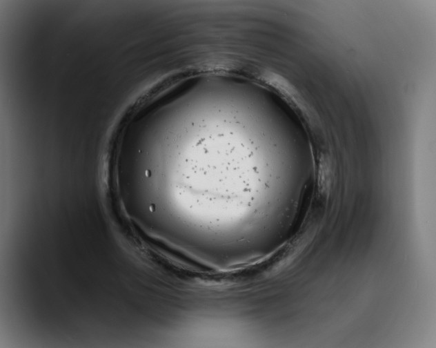 X0000089740726200707121507