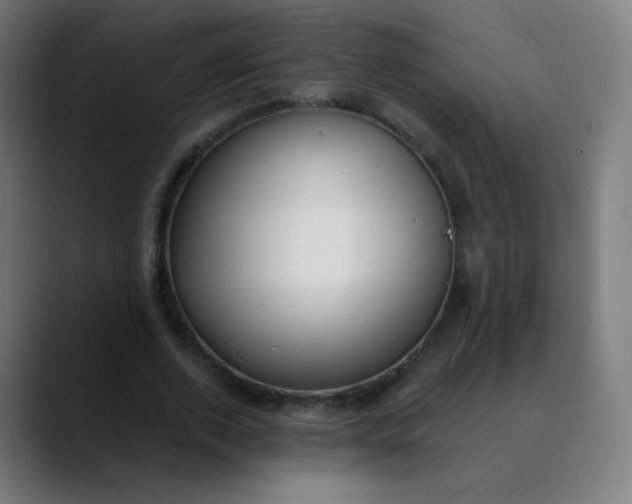 X0000089740728200707121507