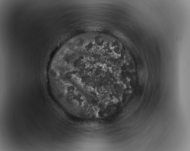 X0000089740729200707121507