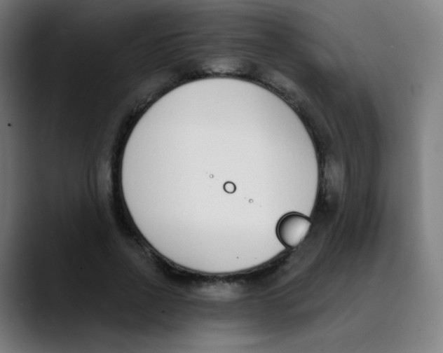 X0000089740734200707121507