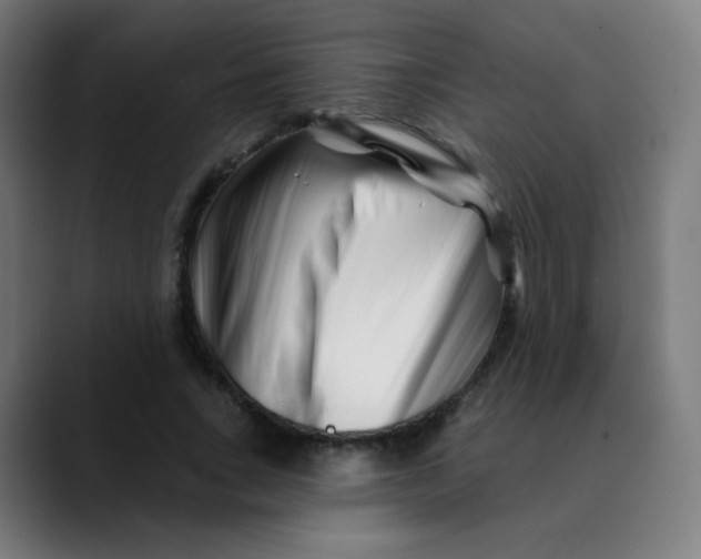 X0000089740735200707121507