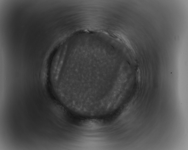 X0000089740736200707121507