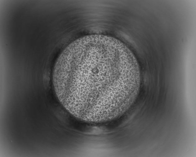 X0000089740737200707121507