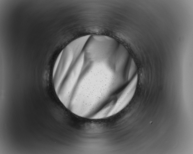 X0000089740739200707121507