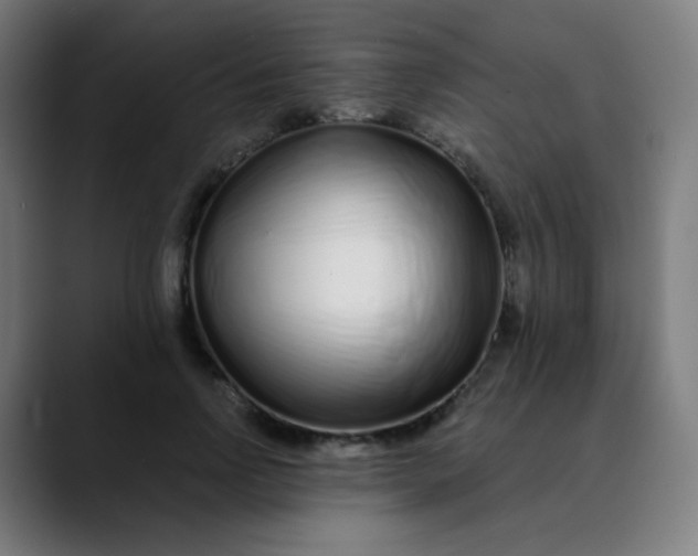 X0000089740742200707121507