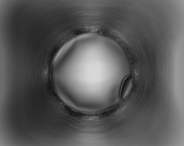 X0000089740745200707121507