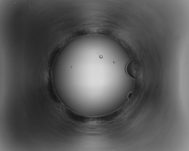 X0000089740746200707121507