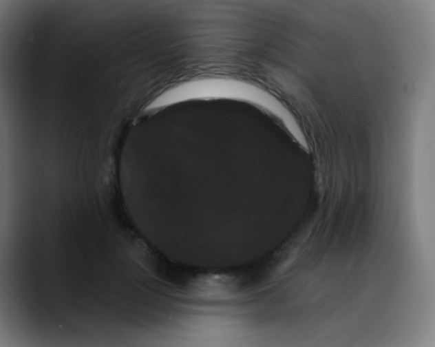 X0000089740748200707121507