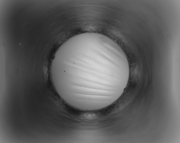 X0000089740749200707121507