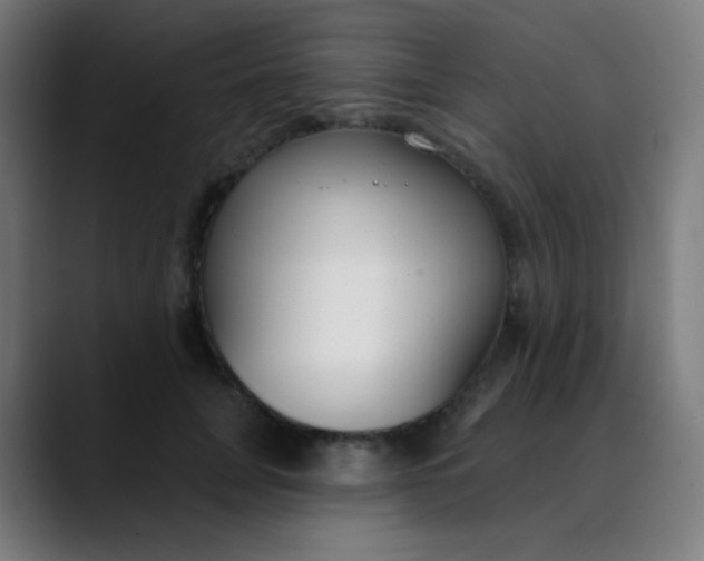 X0000089740751200707121507