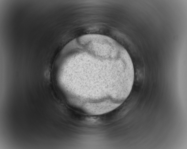 X0000089740753200707121507