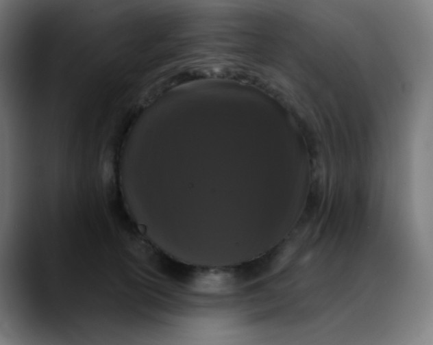 X0000089740754200707121507