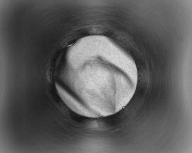 X0000089740755200707121507