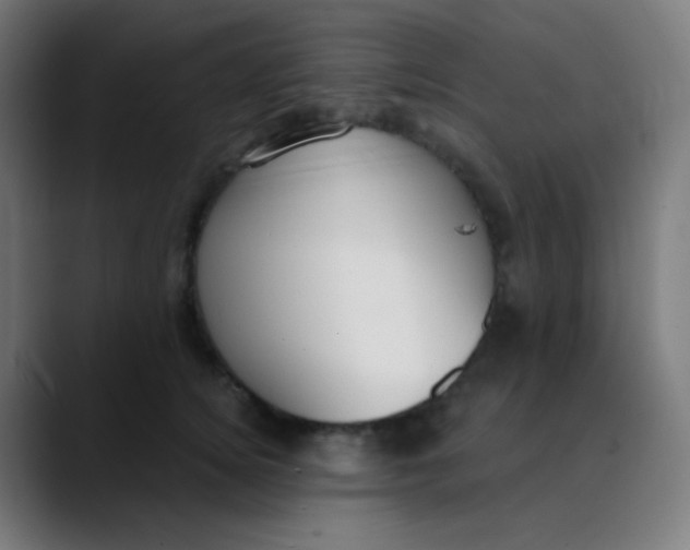 X0000089740756200707121507