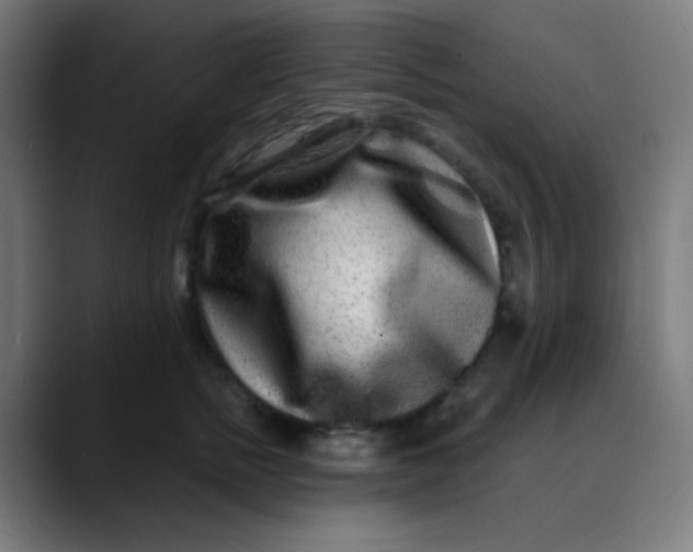 X0000089740758200707121507