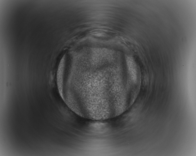 X0000089740759200707121507