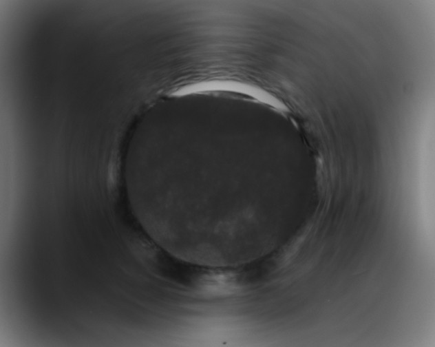 X0000089740760200707121507