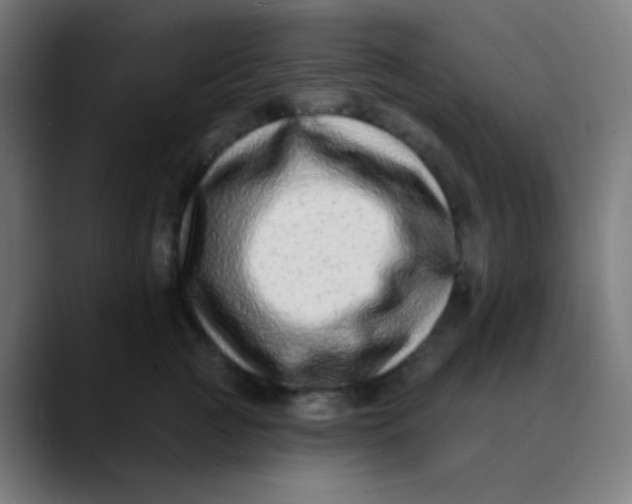 X0000089740761200707121507