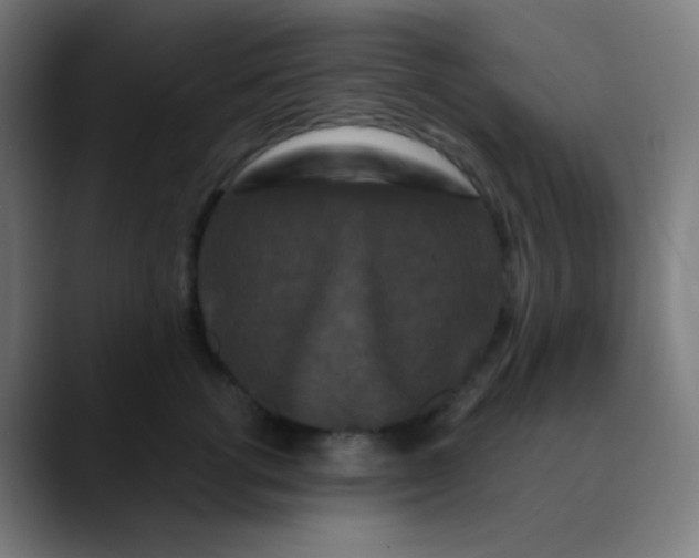 X0000089740762200707121507