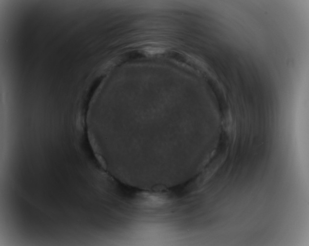 X0000089740763200707121507