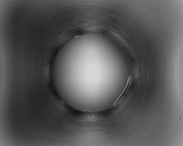 X0000089740764200707121507