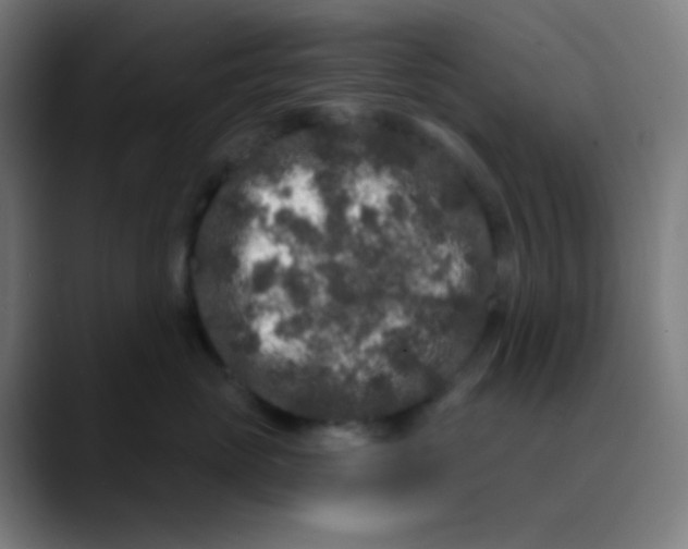 X0000089740765200707121507