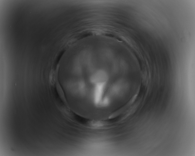 X0000089740766200707121507