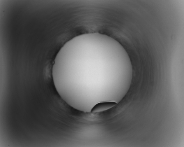 X0000089740768200707121507