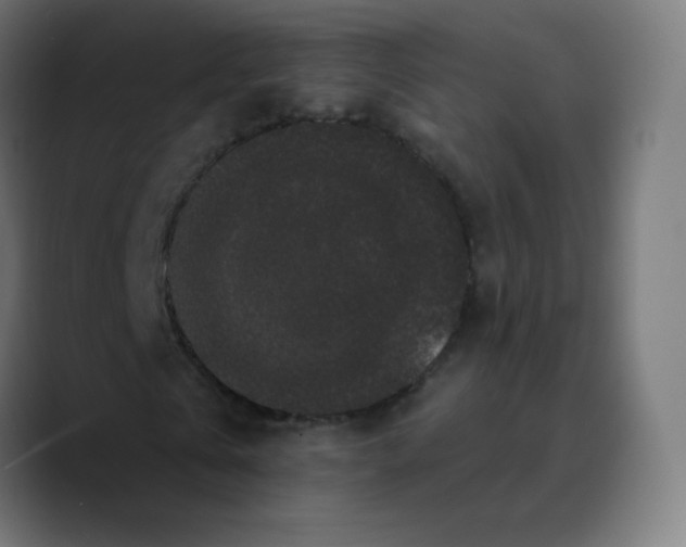 X0000089740769200707121506