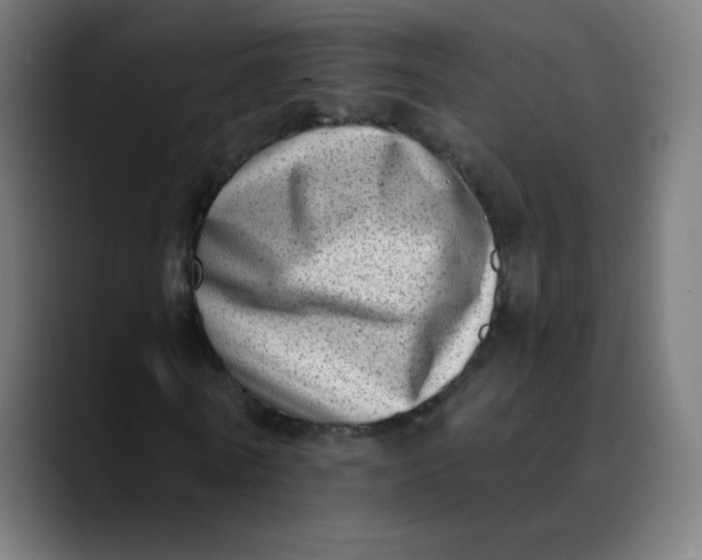 X0000089740770200707121506