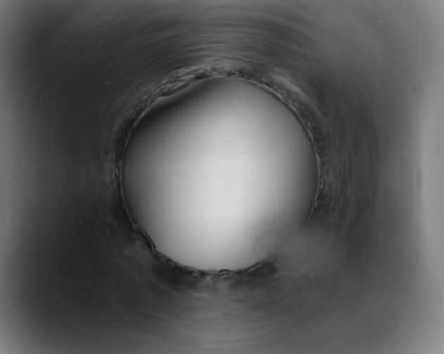 X0000089740773200707121506