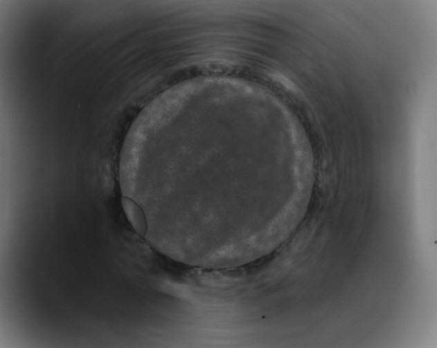 X0000089740774200707121506