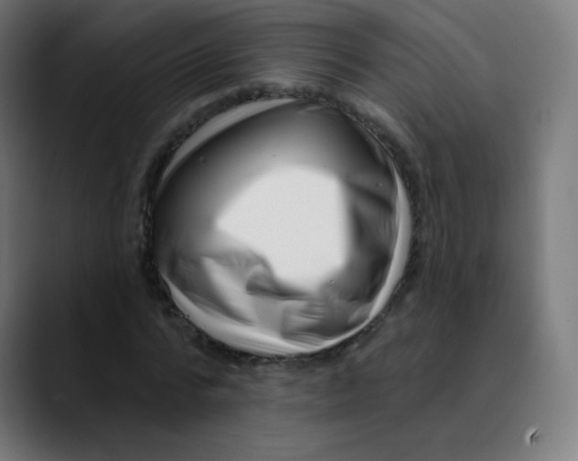 X0000089740776200707121506