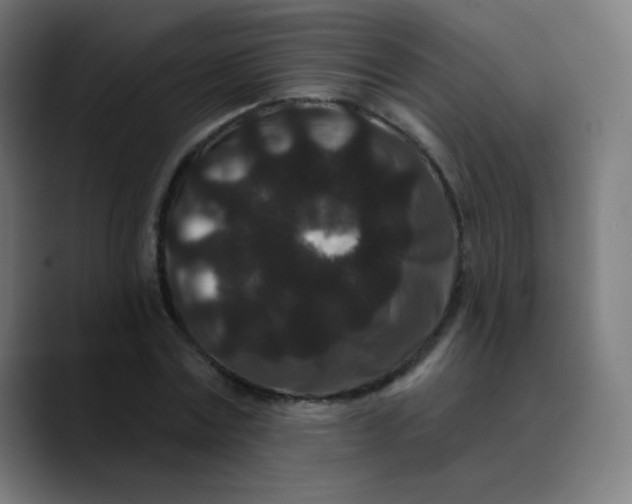 X0000089740779200707121506