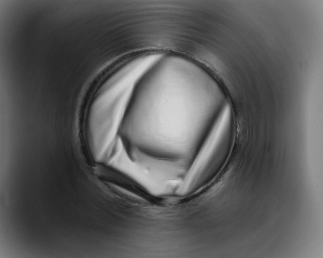 X0000089740780200707121506