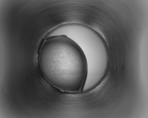 X0000089740781200707121506