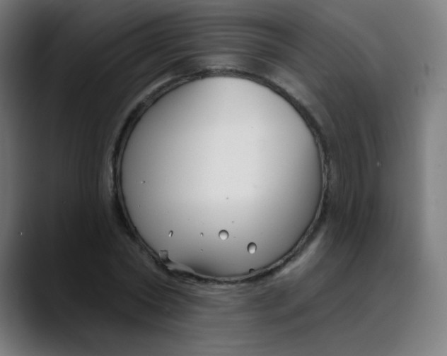 X0000089740782200707121506