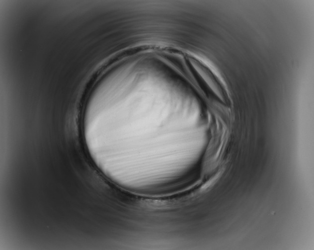 X0000089740783200707121506