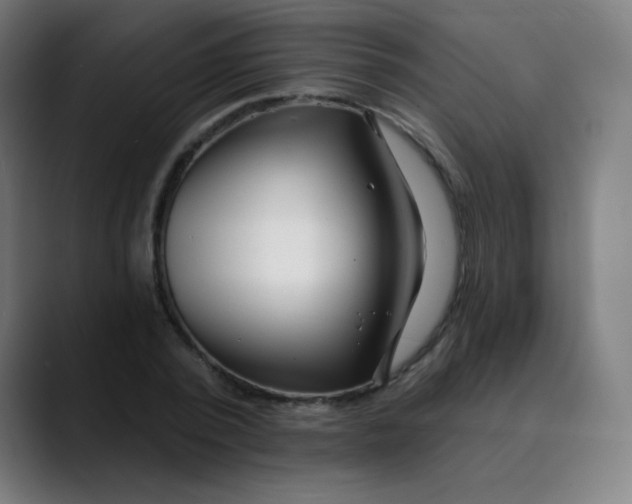 X0000089740784200707121506