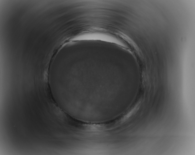 X0000089740785200707121506